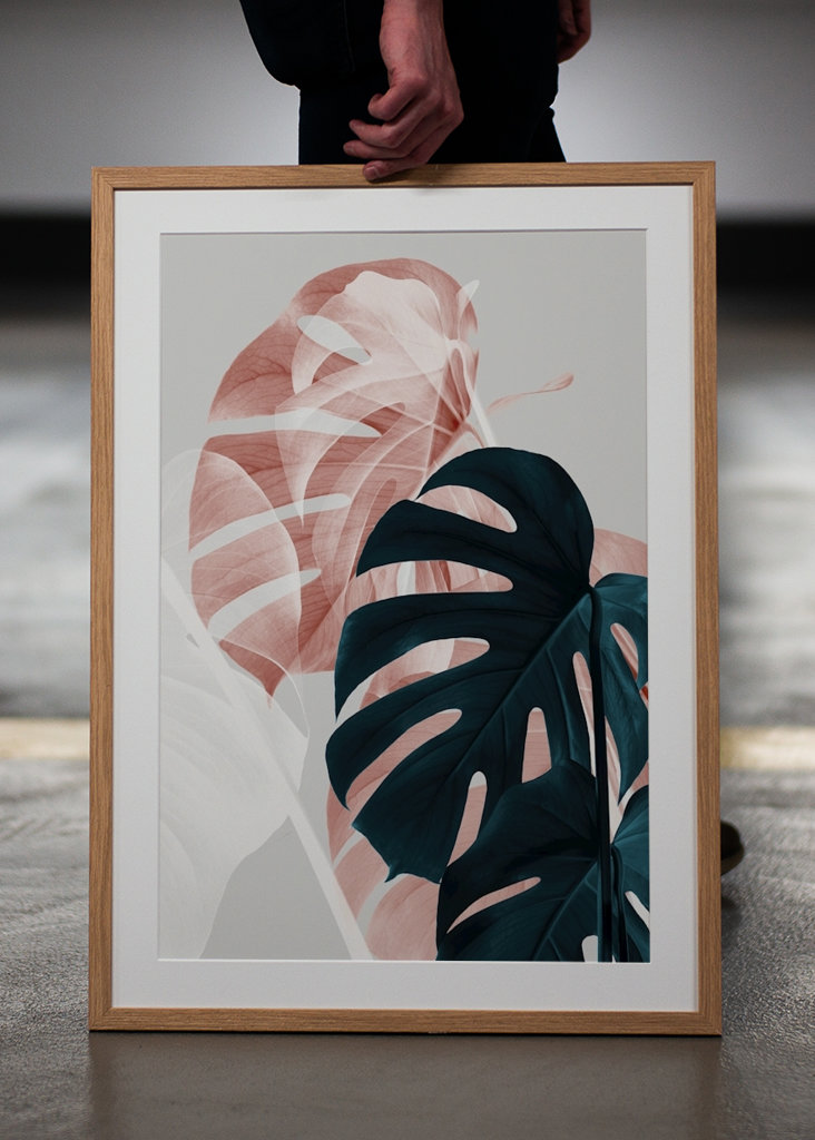 Monstera Creative 9