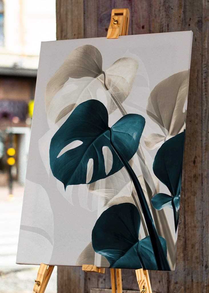 Monstera Creative 10