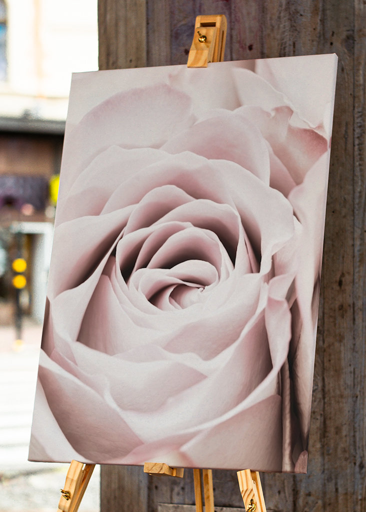 Rosa Ros 6 Zoekertjes