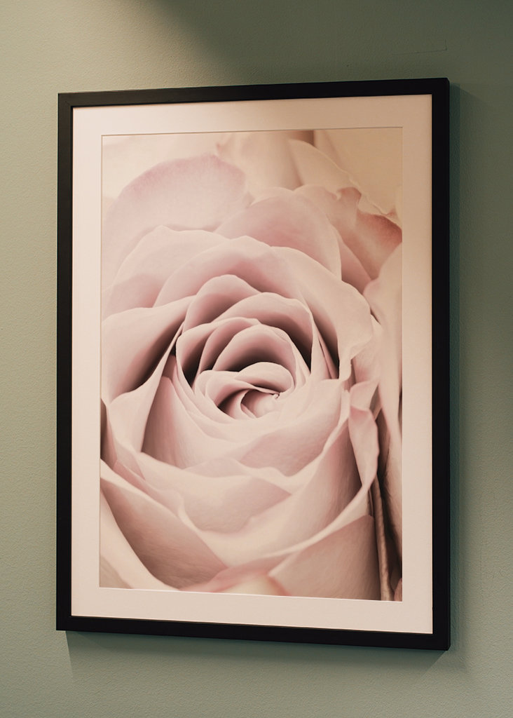 Rosa Ros 6 Zoekertjes