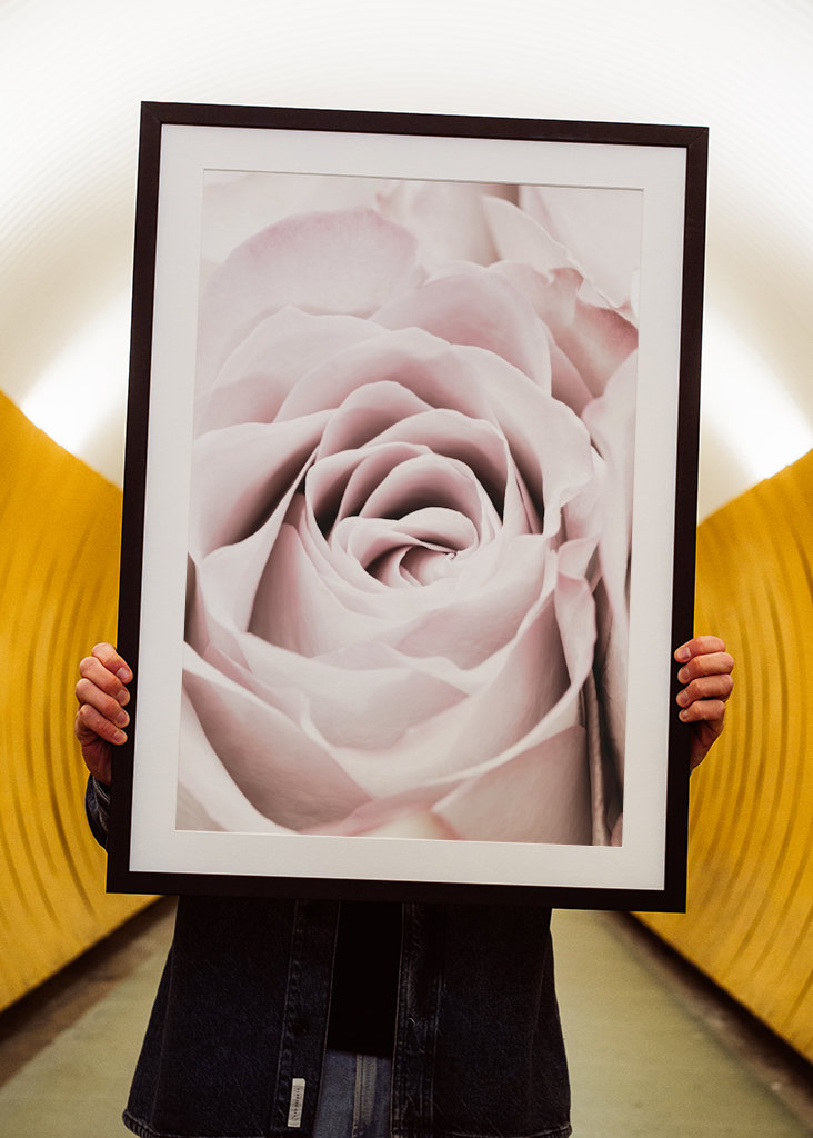 Rosa Ros 6 Zoekertjes