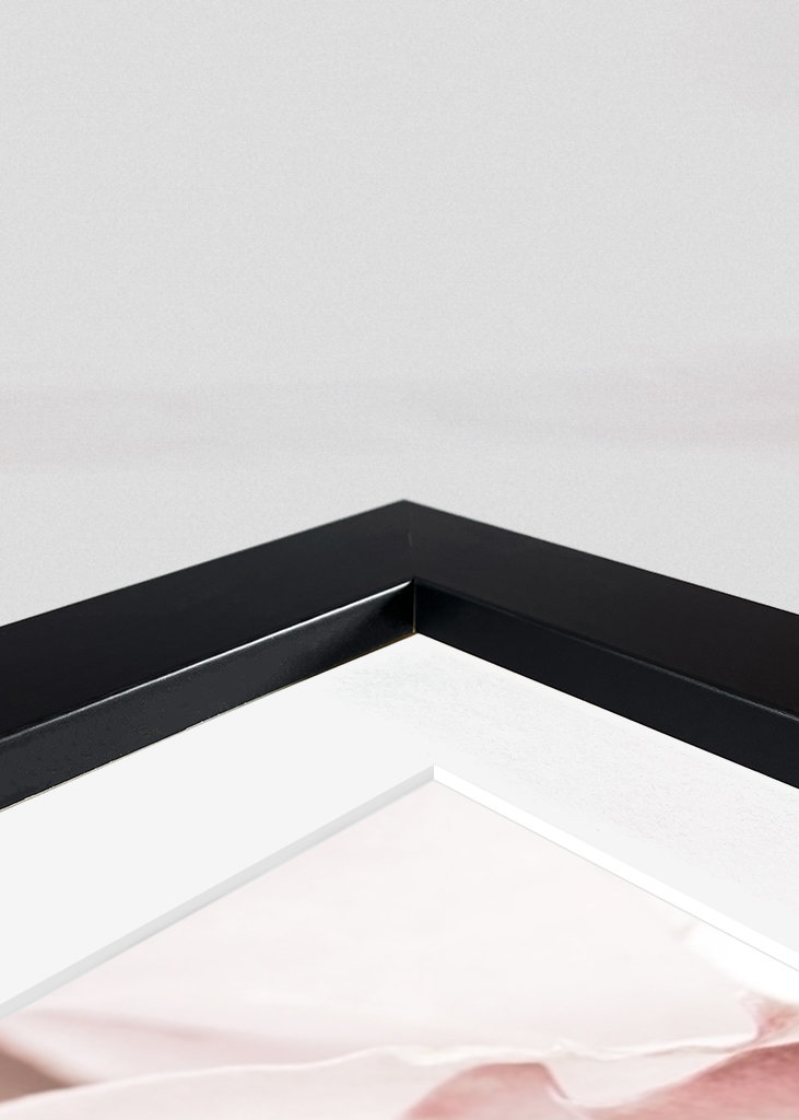 Rosa Ros 6 Zoekertjes