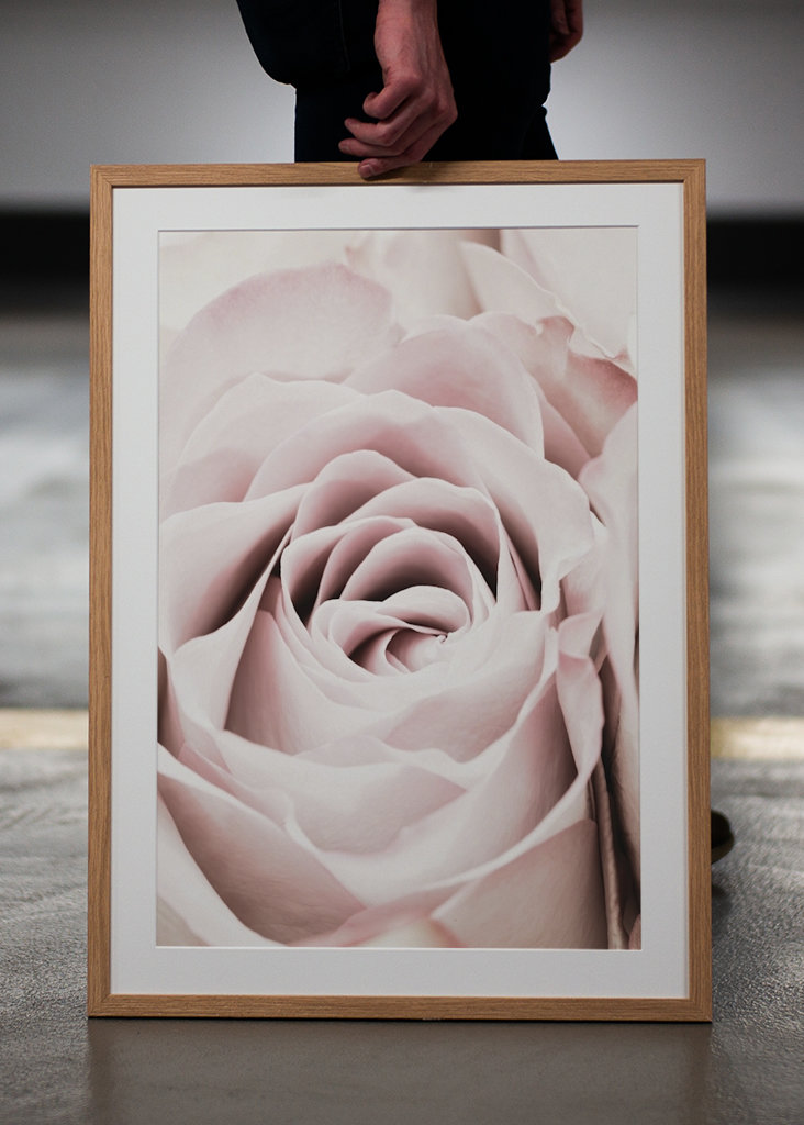 Rosa Ros 6 Zoekertjes