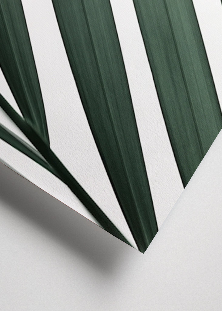 Grafický palmový list 3