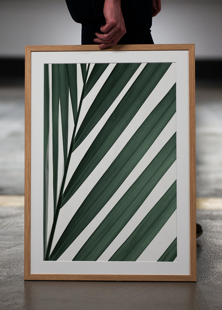 Grafický palmový list 3