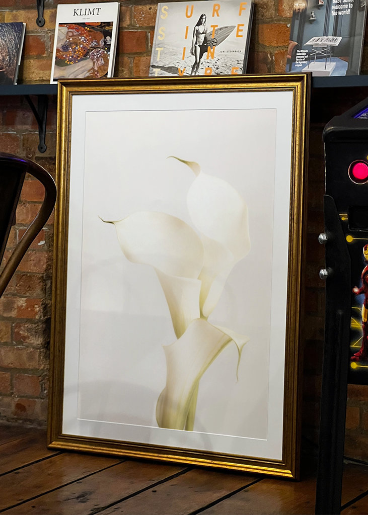 White Calla Lily 3