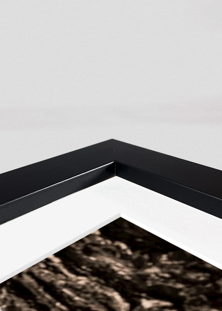 Triumfbågen Paříž