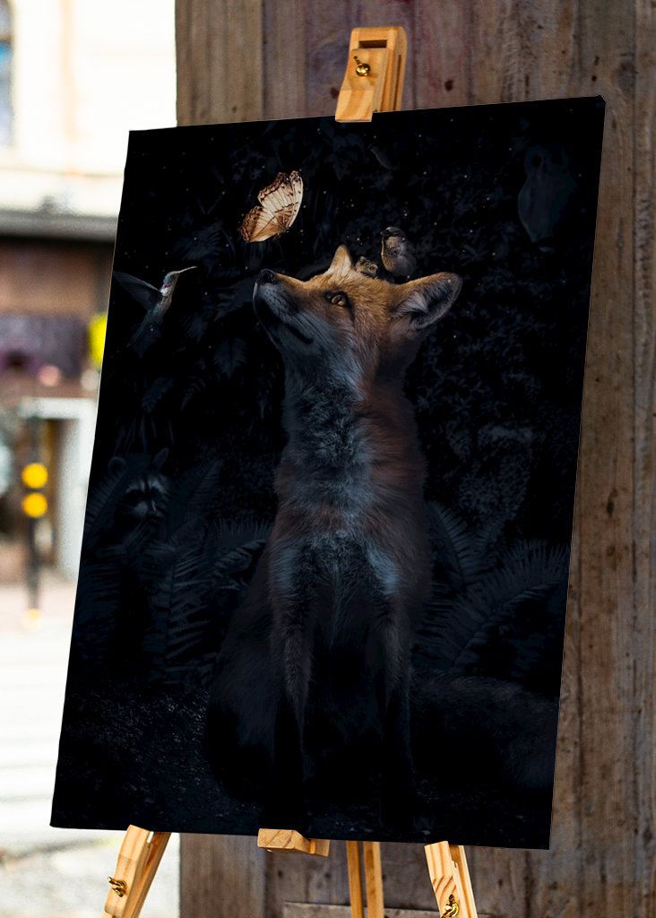 Éjszakai találkozó