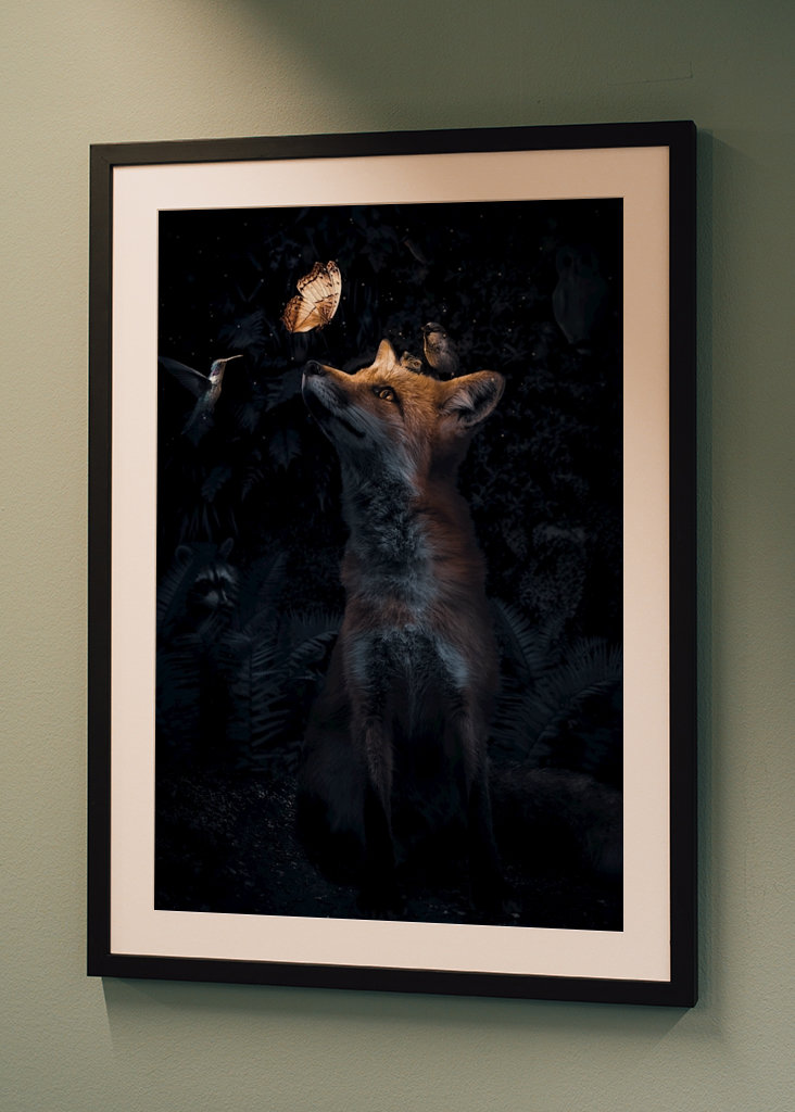 Éjszakai találkozó