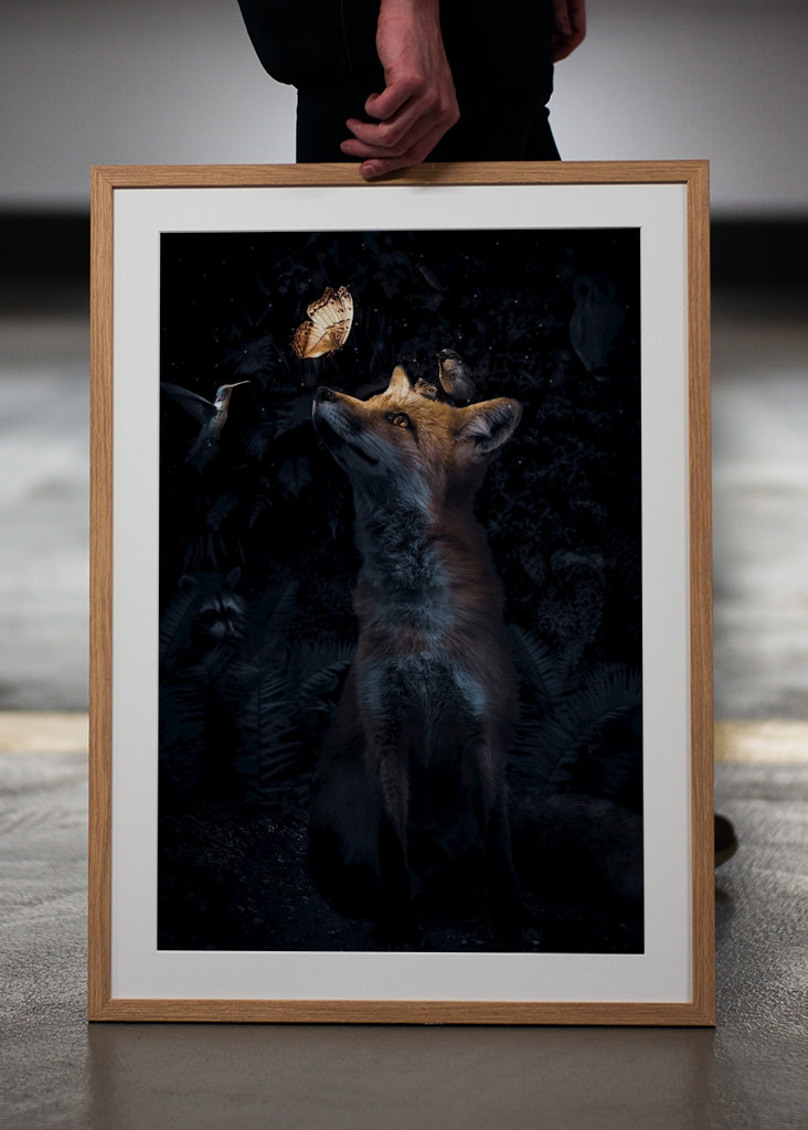 Éjszakai találkozó