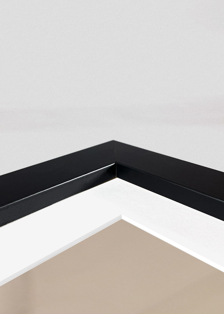 Afrikansk/Maghreb blå chickadee