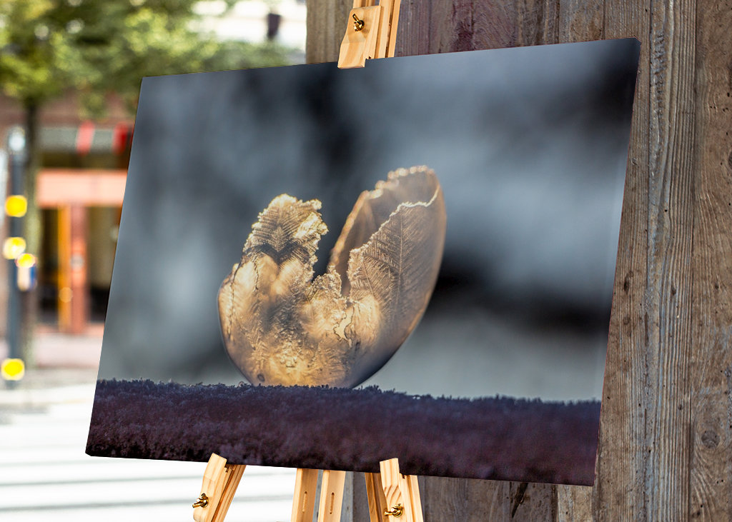 Magia de pompas de jabón