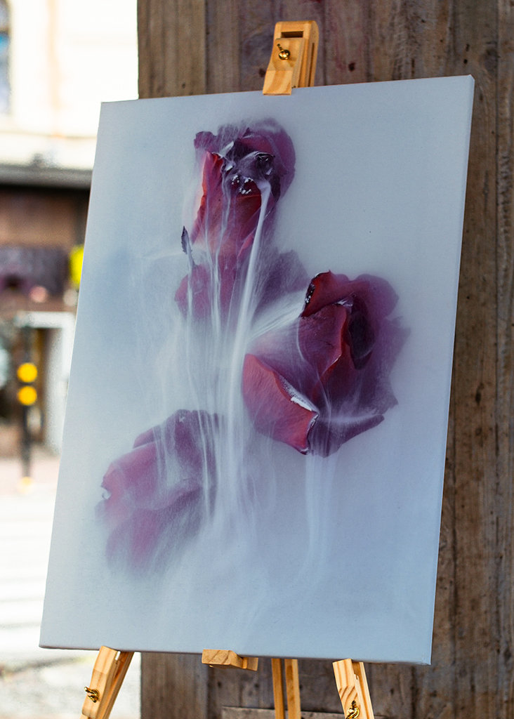 Dripping Rose