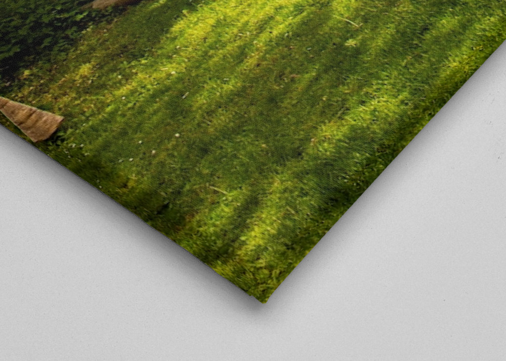 A lake near Bosjökloster