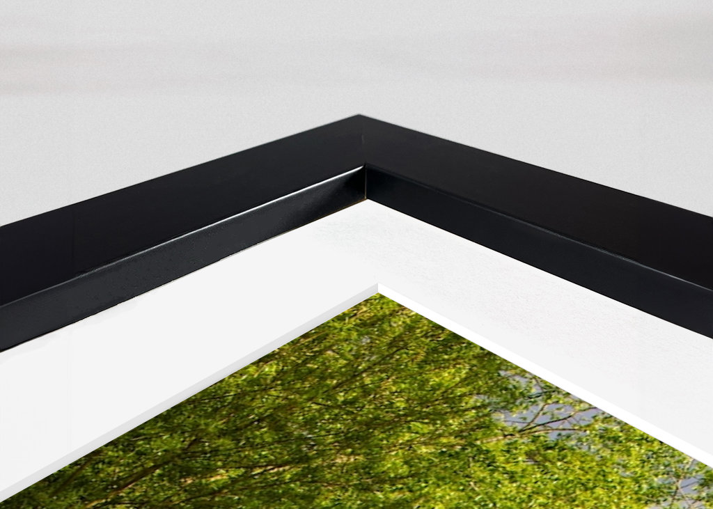 A lake near Bosjökloster