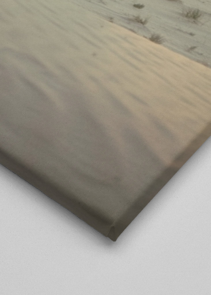 Palmbomen in de woestijn 