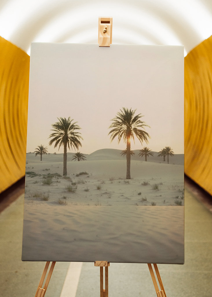 Palmbomen in de woestijn 