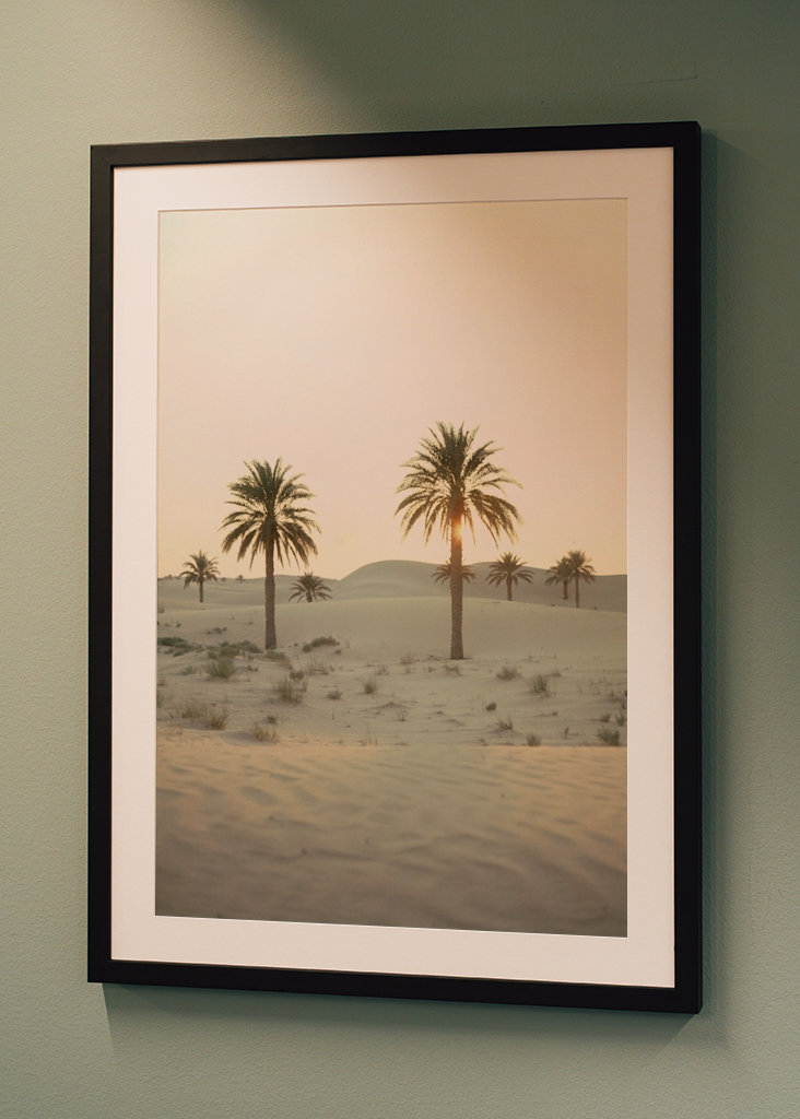 Palmbomen in de woestijn 