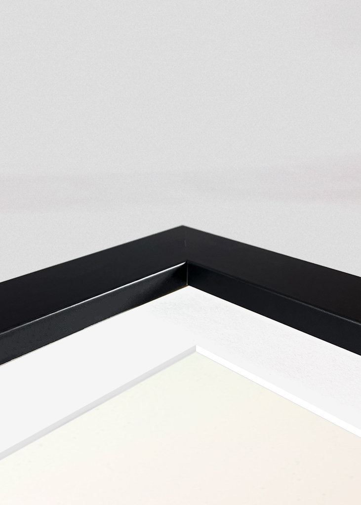 Palmbomen in de woestijn 