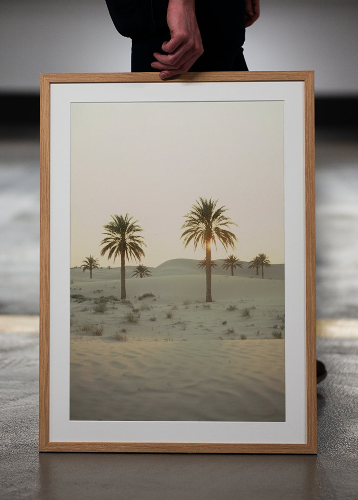 Palmbomen in de woestijn 