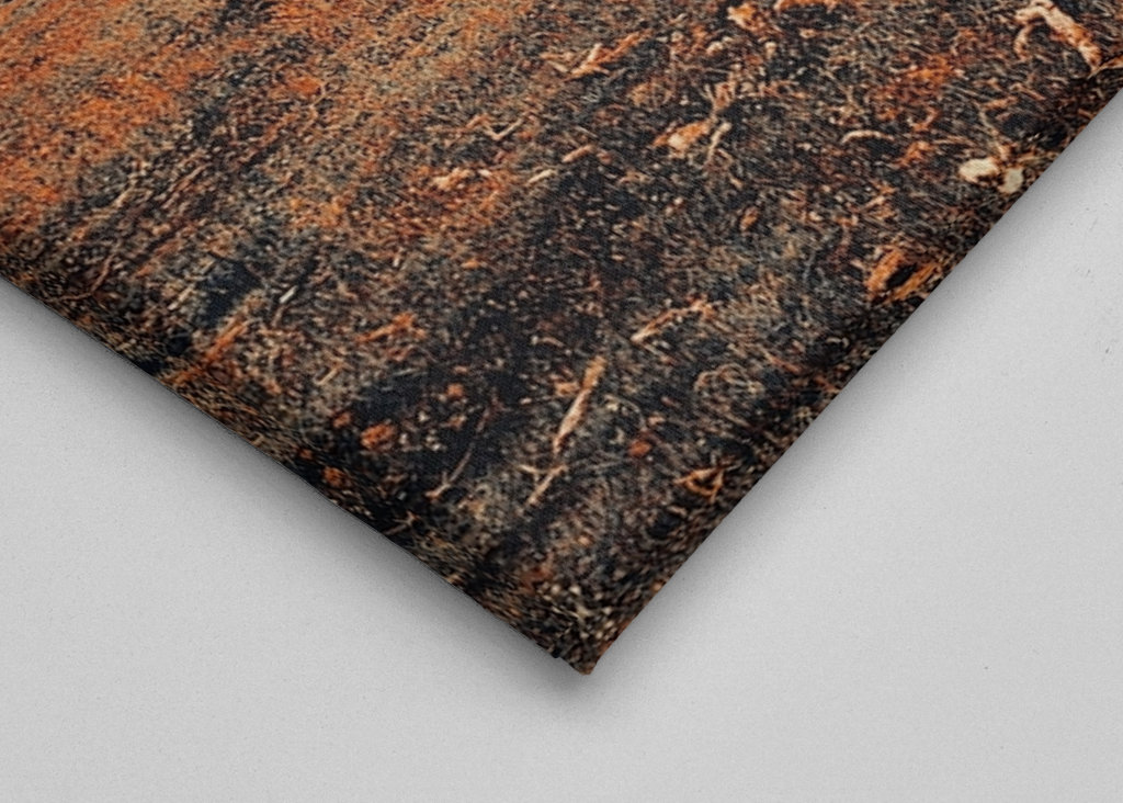 Albero solitario di Dartmoor