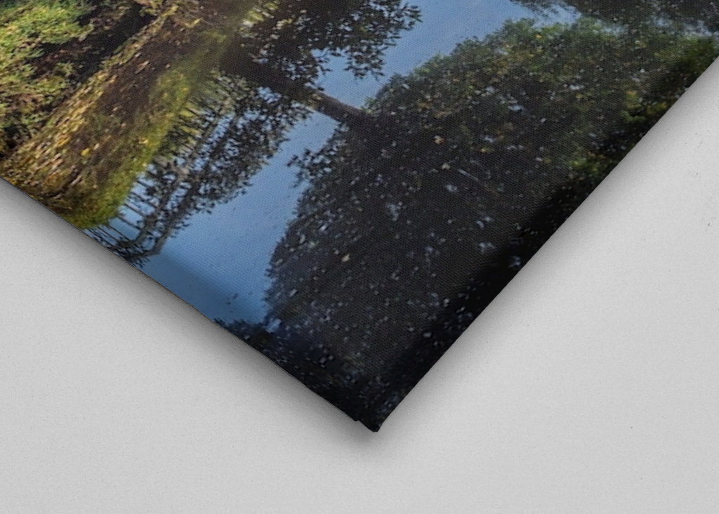 Autunno nel Münsterland