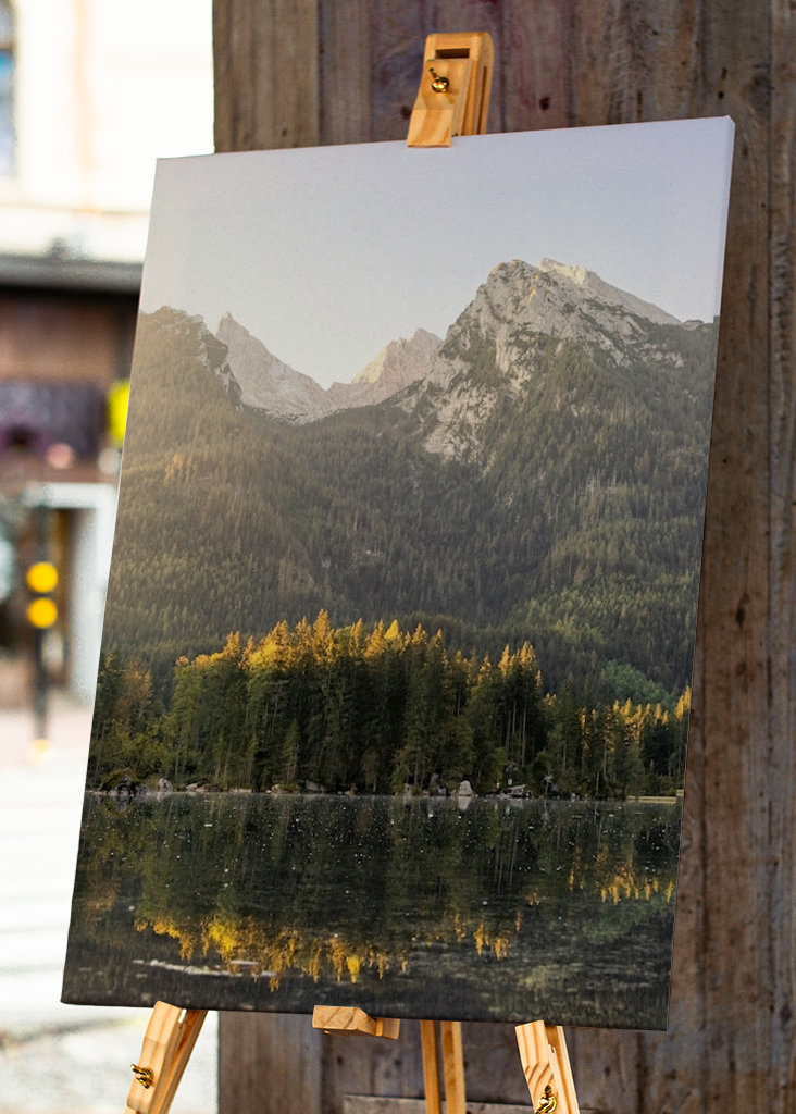 Morning in Zauberwald