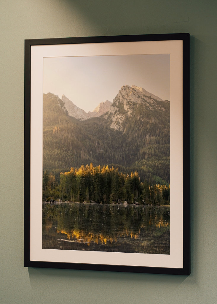 Morning in Zauberwald