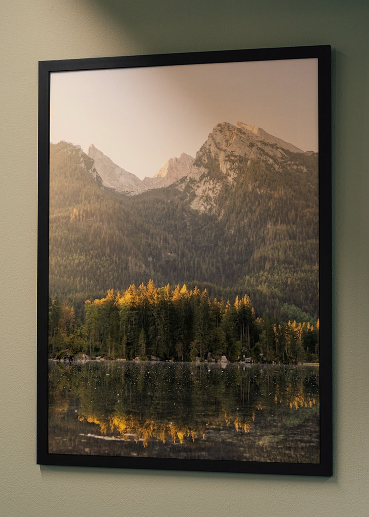 Morning in Zauberwald