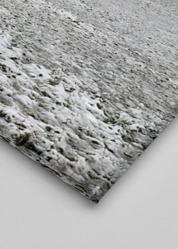 snowy meadows in winter