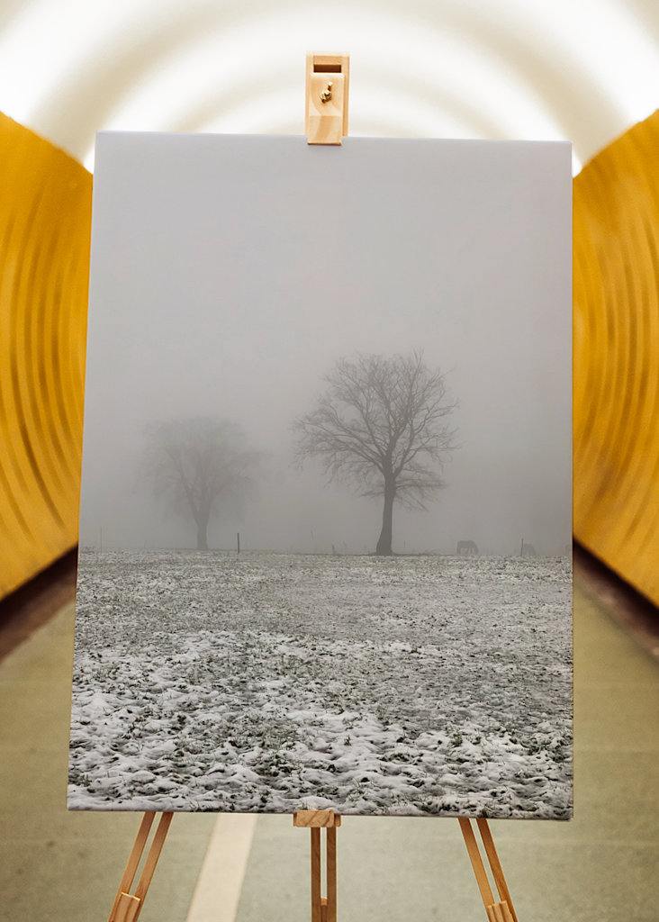 snowy meadows in winter