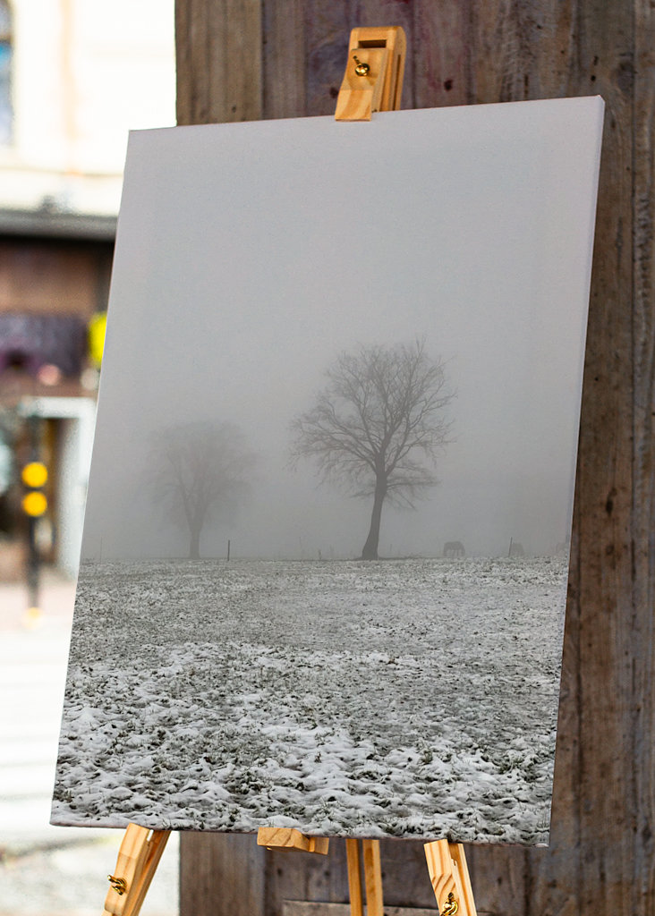 snowy meadows in winter