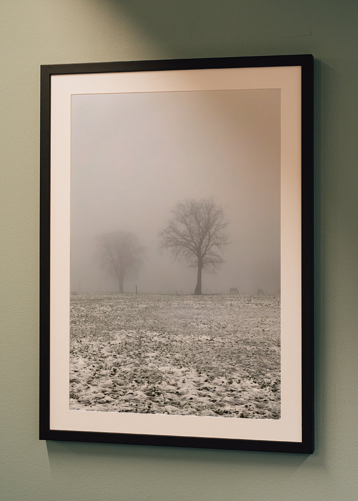 snowy meadows in winter