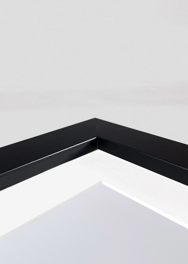 snowy meadows in winter