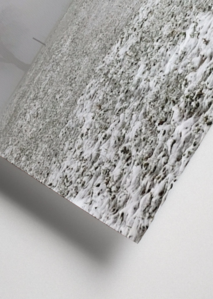 snowy meadows in winter