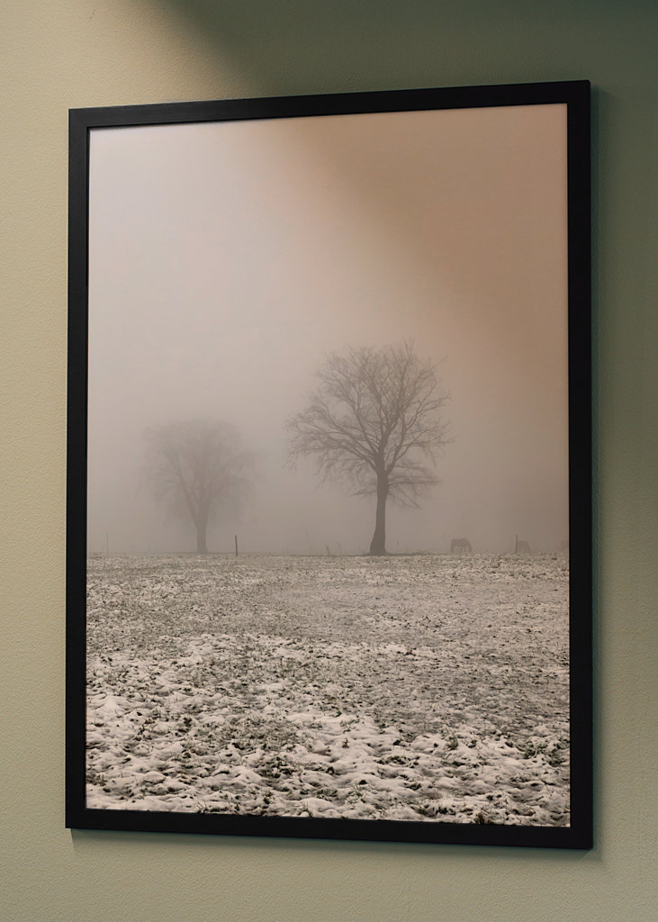 snowy meadows in winter