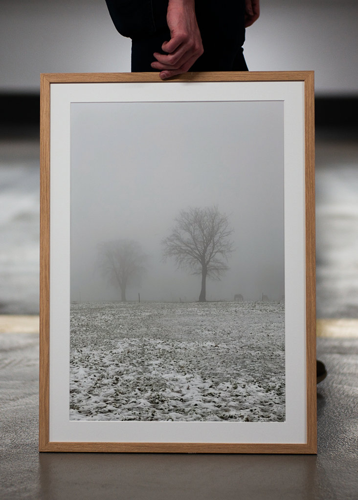 snowy meadows in winter