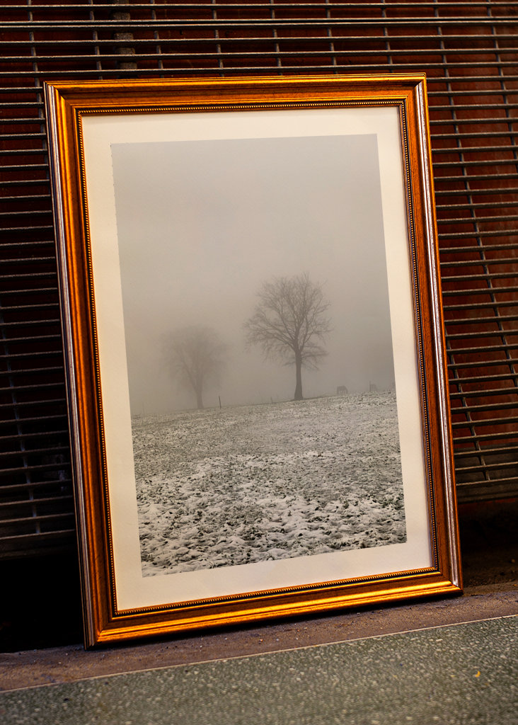 snowy meadows in winter