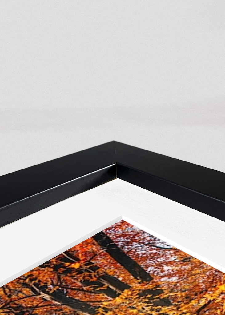 En magisk efterårsdag