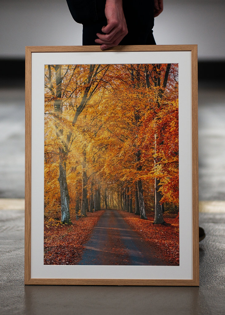 En magisk efterårsdag