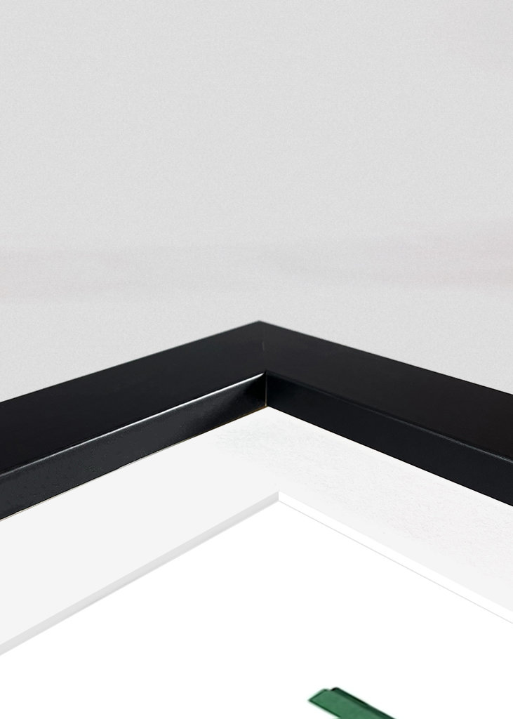 Little Savannah: ABC