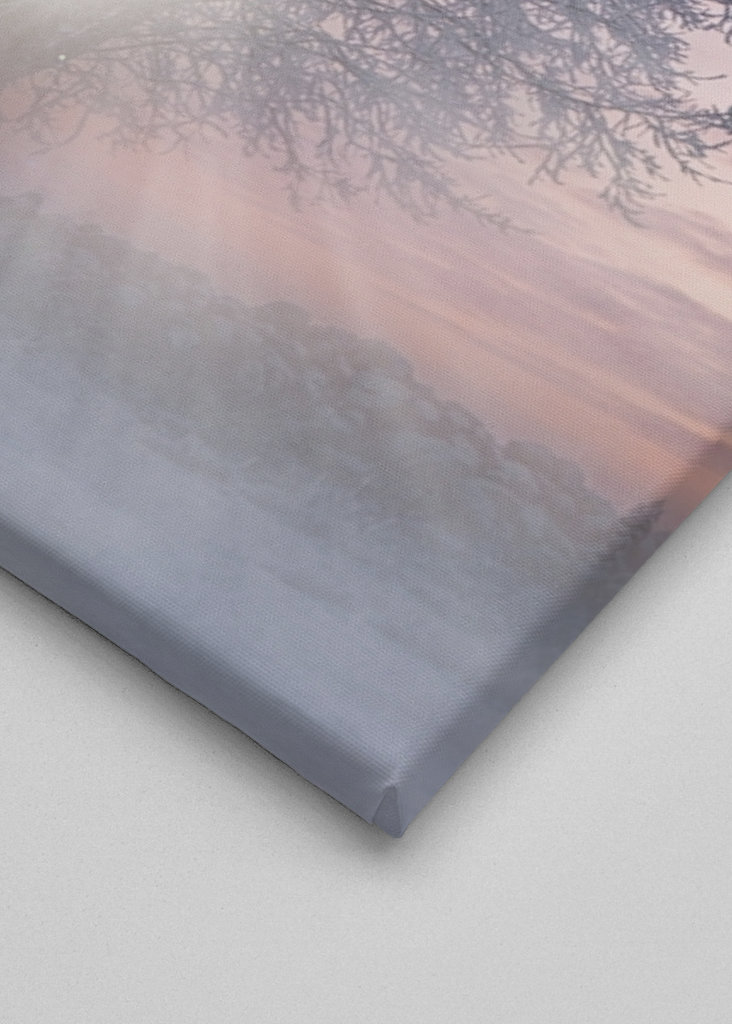 Bomen bij zonsondergang