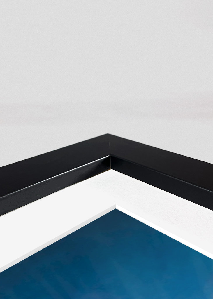 Bomen bij zonsondergang