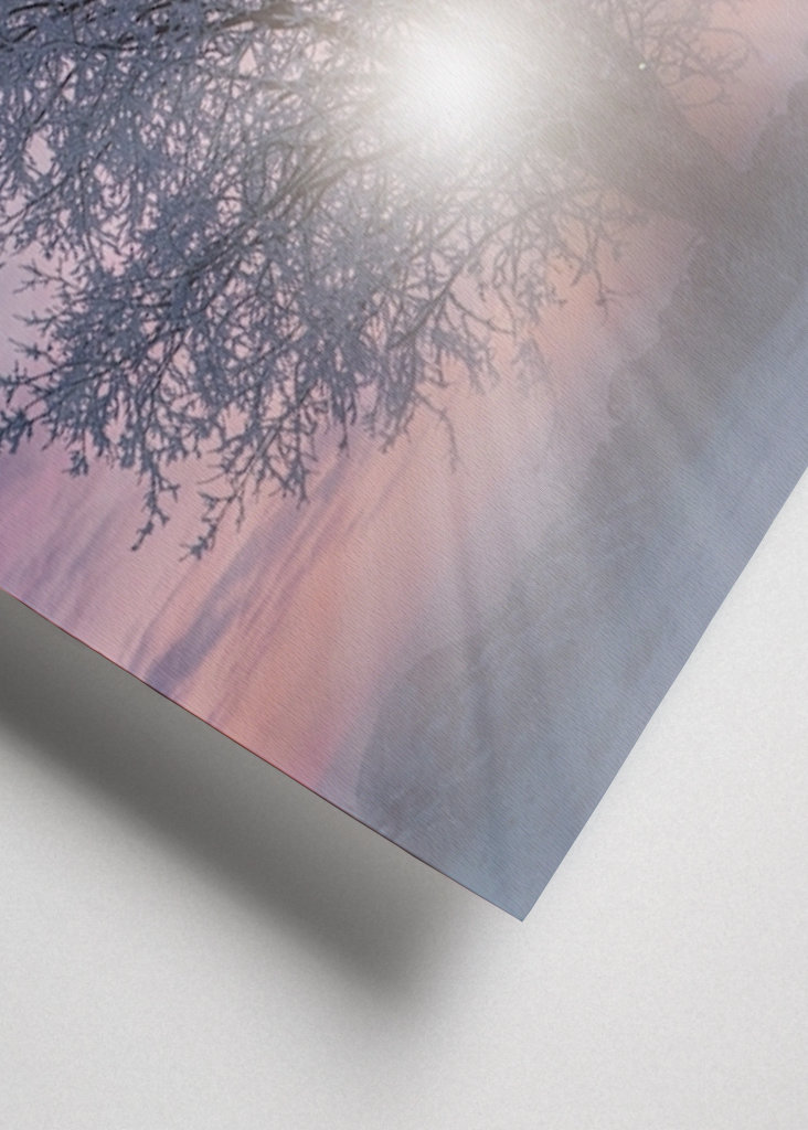 Bomen bij zonsondergang