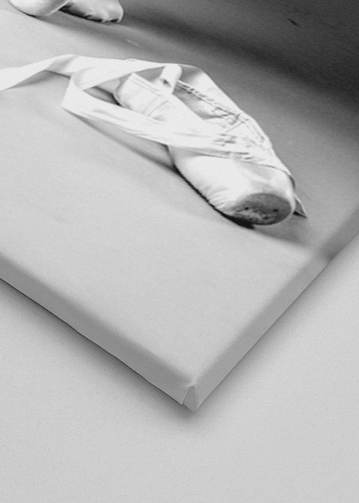 Ballet dancer in the making