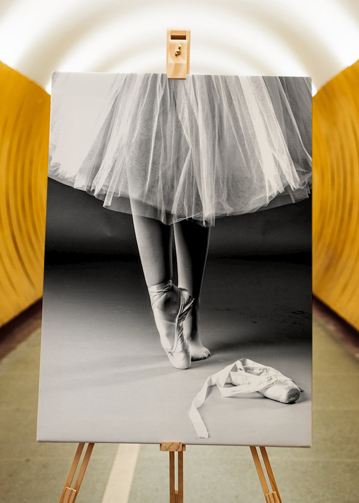 Ballet dancer in the making