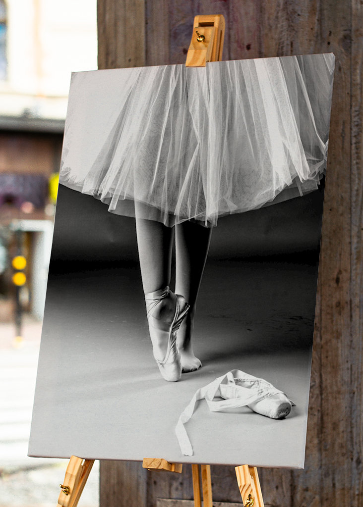 Ballet dancer in the making