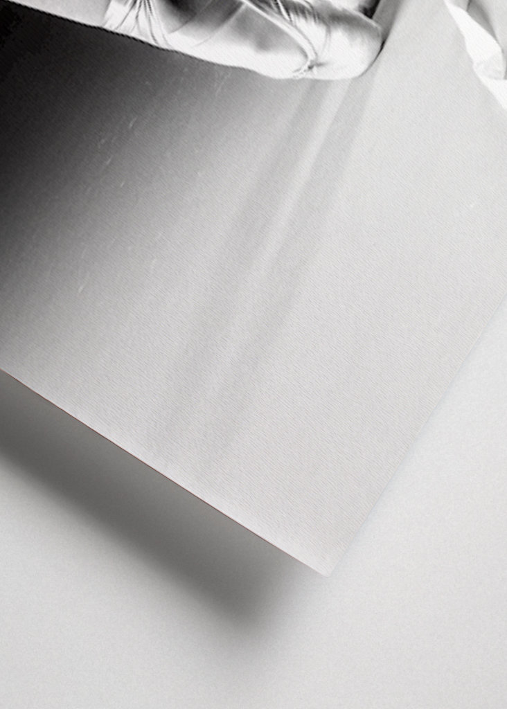 Ballet dancer in the making