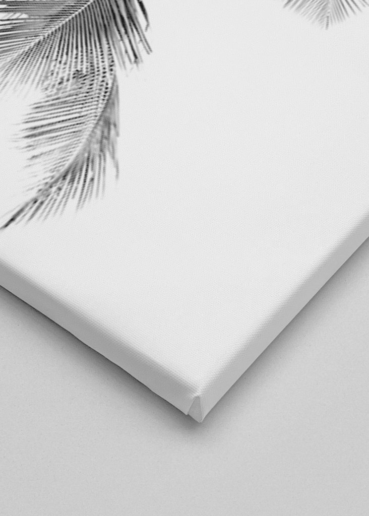 The dream of palm trees