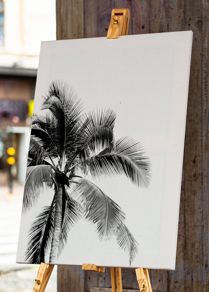 The dream of palm trees